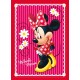 7846 Vafa Minnie Mouse 30x20cm
